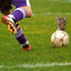 Meet your Posher, Jim